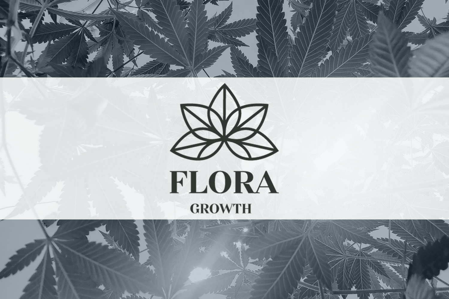 Flora Growth Force Family Office