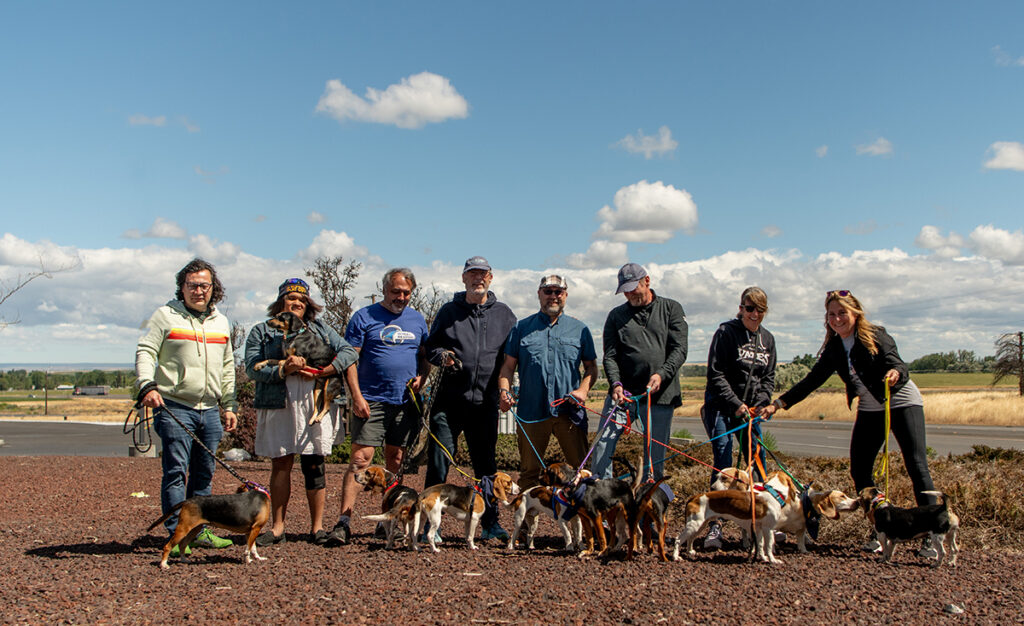 Operation Frodo: A Mission For Dogs